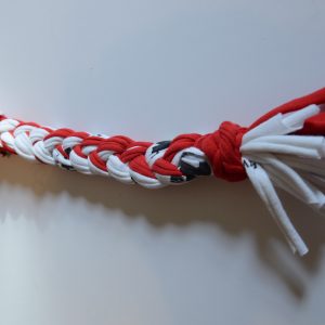 9/6 Meeting Recap dog-toy